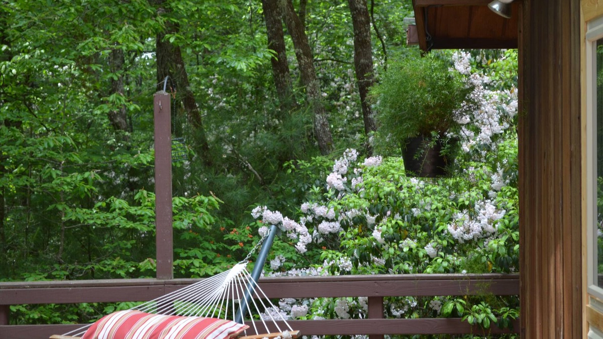 Cedar Mountain Cabin | Lindal cedar home located next to Dupont State Recreational Forest.