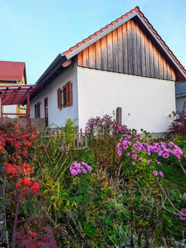 Litzendorf Apartment | Lindenhof Tiefenellern