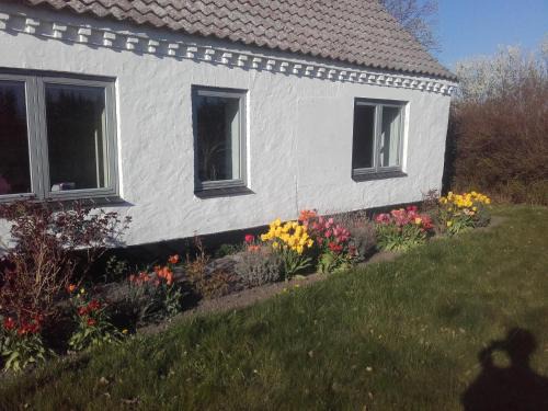 Fjerritslev Bed & Breakfast | Lindholt