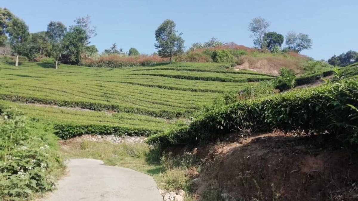 Pallivasal House | Linten Holiday Resort,Property set in Munnar.4.7km from MUNNAR Town