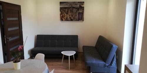 Andrychow Apartment | Lion Apartment