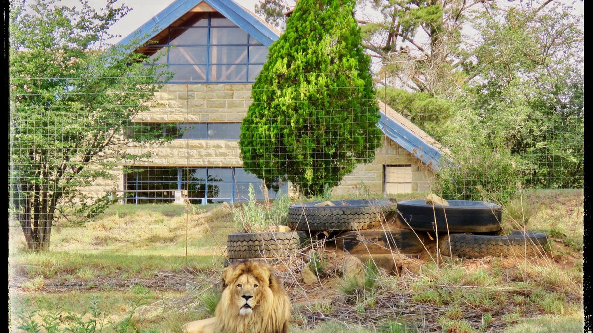 Harrismith House | Lion Lodge @ggconservation