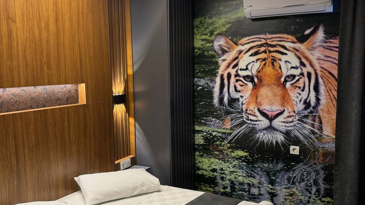 Cevizli Mahallesi Hotel | LION SUITE HOTEL KARTAL