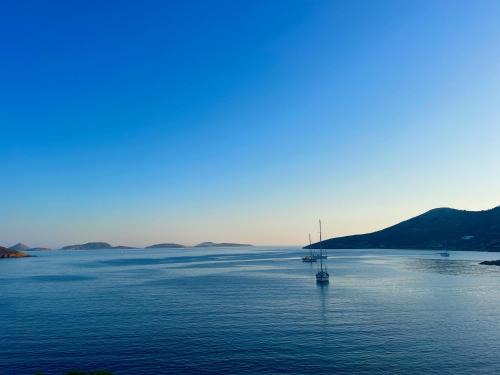 Lipsoi Hotel | Lipsi Blue Hotel