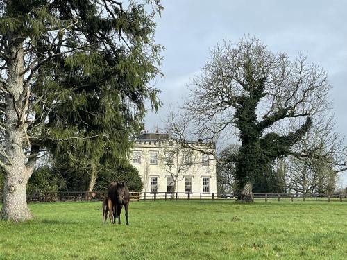 Bansha House | Lismacue House