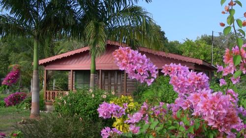 Little Bay House | Little Bay Beach House