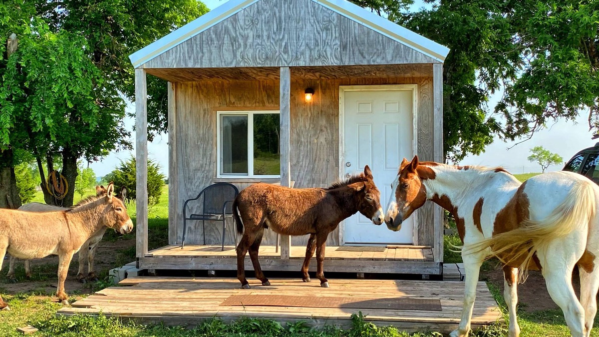 Lawton House | Little Cabin at the DonkeyRanch