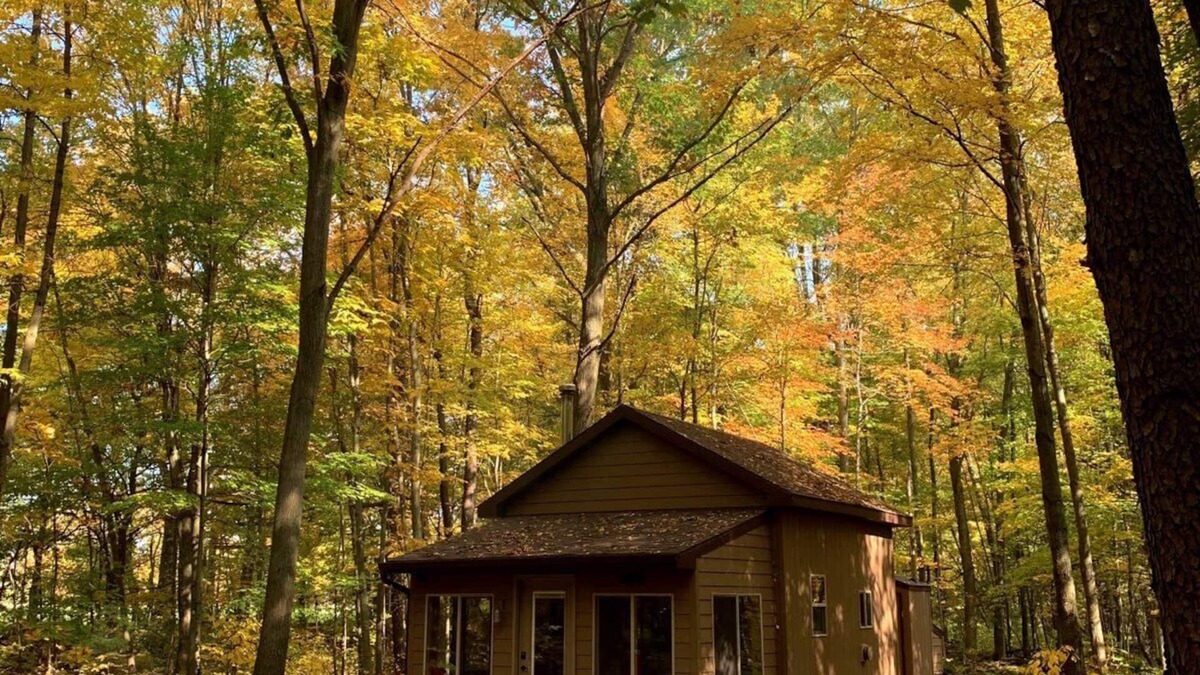 Mosherville Cabin | Little Cabin in the Woods - Quiet