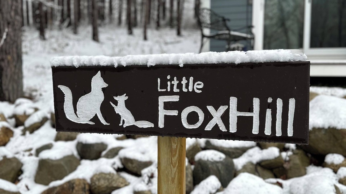 Pownal Cottage | Little Fox Hill - a tiny house in the woods by a brook