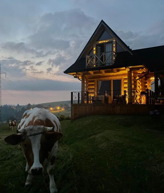 Zab House | Little House