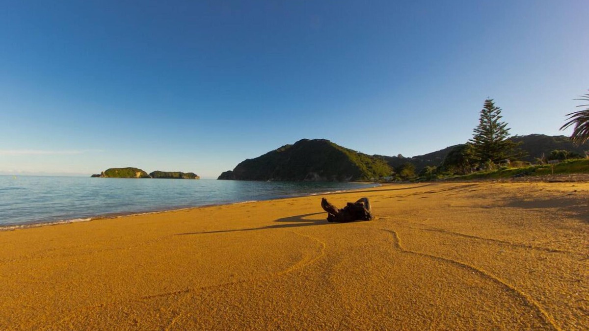 Tata Beach House | Little Nikau - Tata Beach Holiday Home