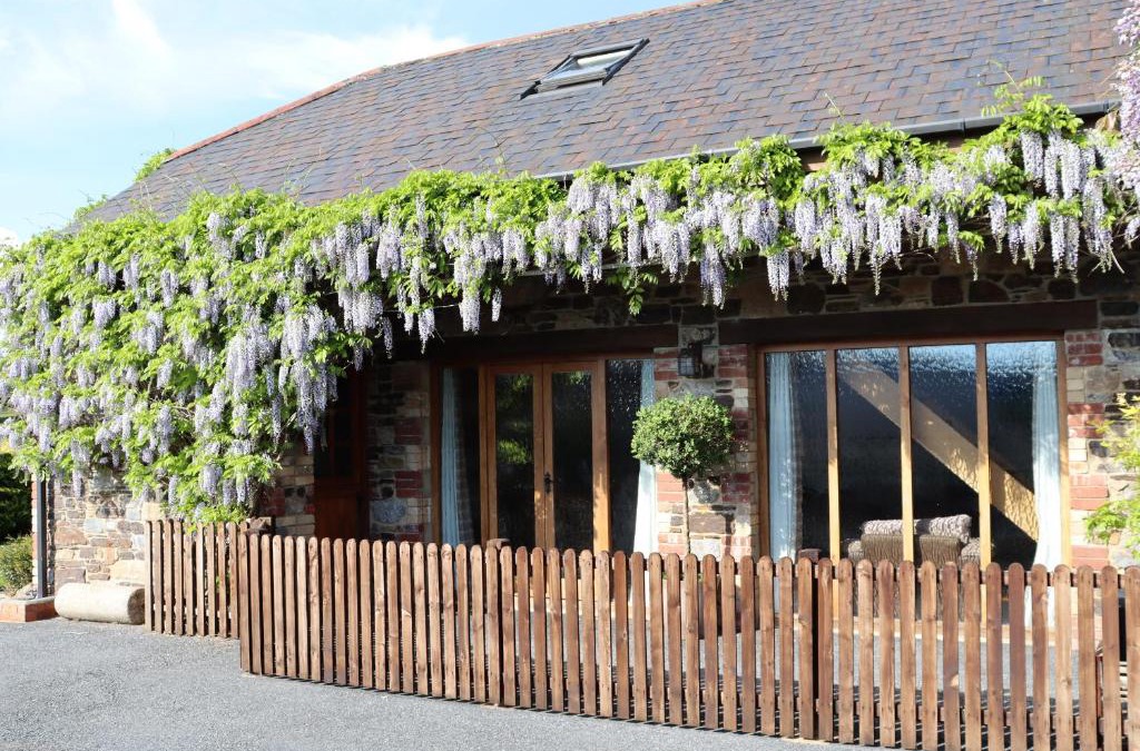Liverton House | Little Orchard