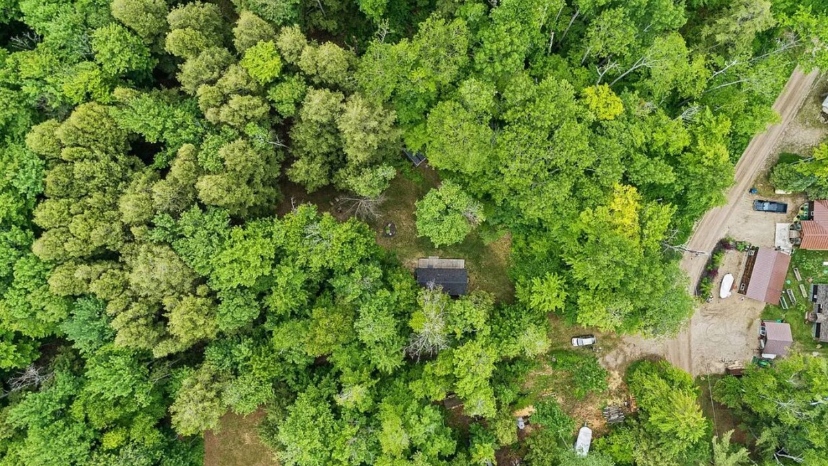 Carp Lake Cabin | Little Red - Charming and Close to Mackinac Island Ferry