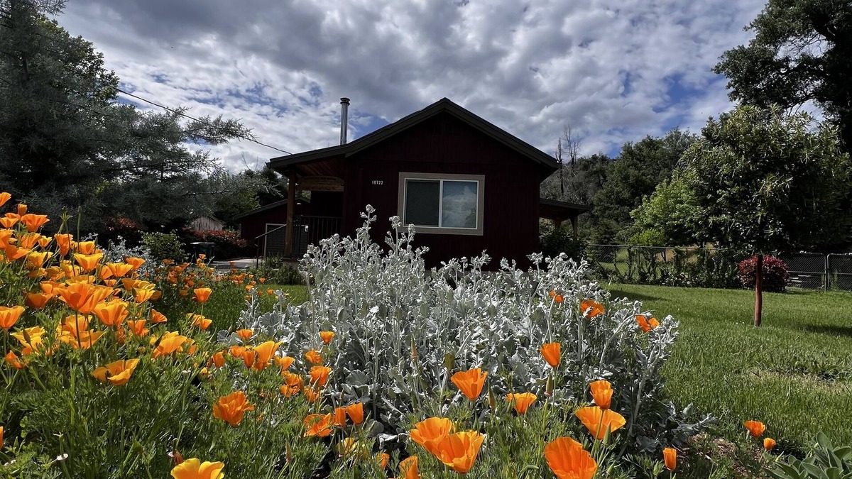 Shasta Cabin | Little Red House Cute, Cozy, Rustic Home in Historic ShastanWhiskeytown Lake