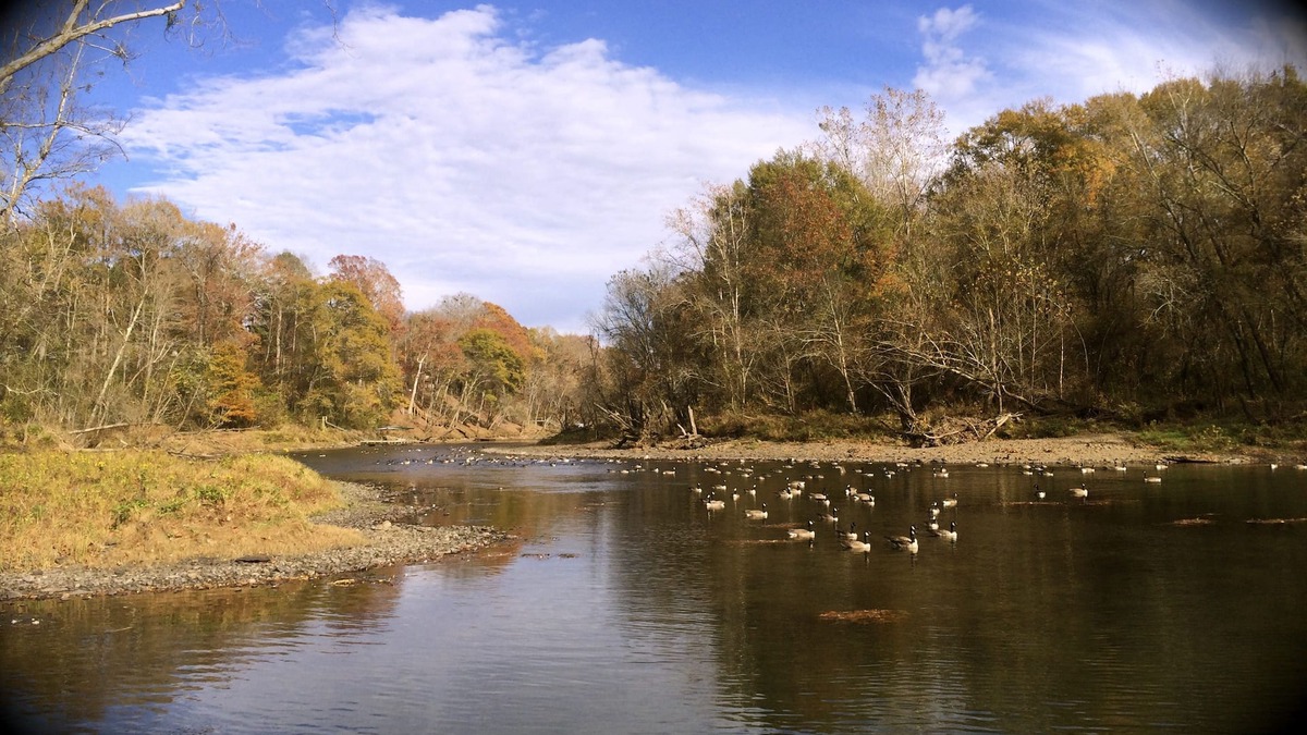 Heber Springs House | Little Red Tree House on the Little Red River on 8 Private Acres with Large Dock