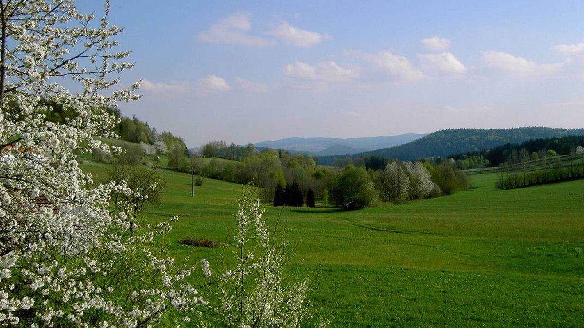 Kirchdorf im Wald House | Living in nature at the Bavarian Forest National Park. Award-winning garden