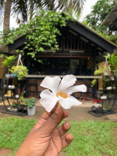 Katana House | Living with Lankan's Homestay
