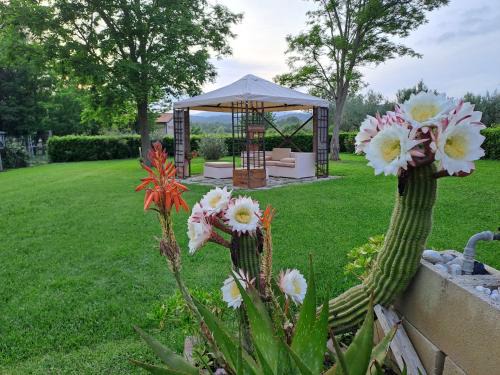 Monterotondo Marittimo Apartment | Lo Stucchio