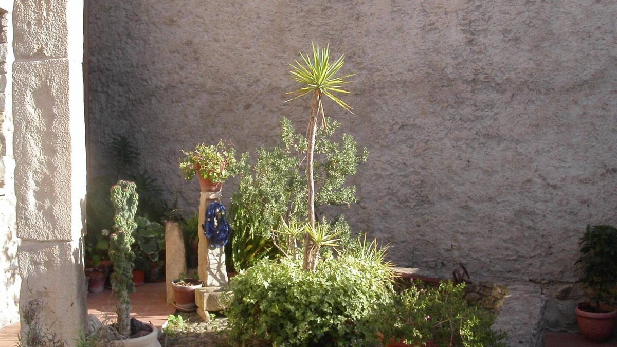 Pauli Arbarei Bed & Breakfast | Locanda La Rosa