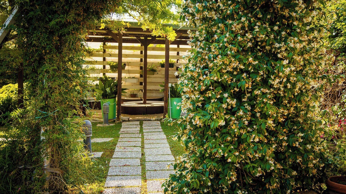 Tarquinia Bed & Breakfast | Locanda Villa Naumanni