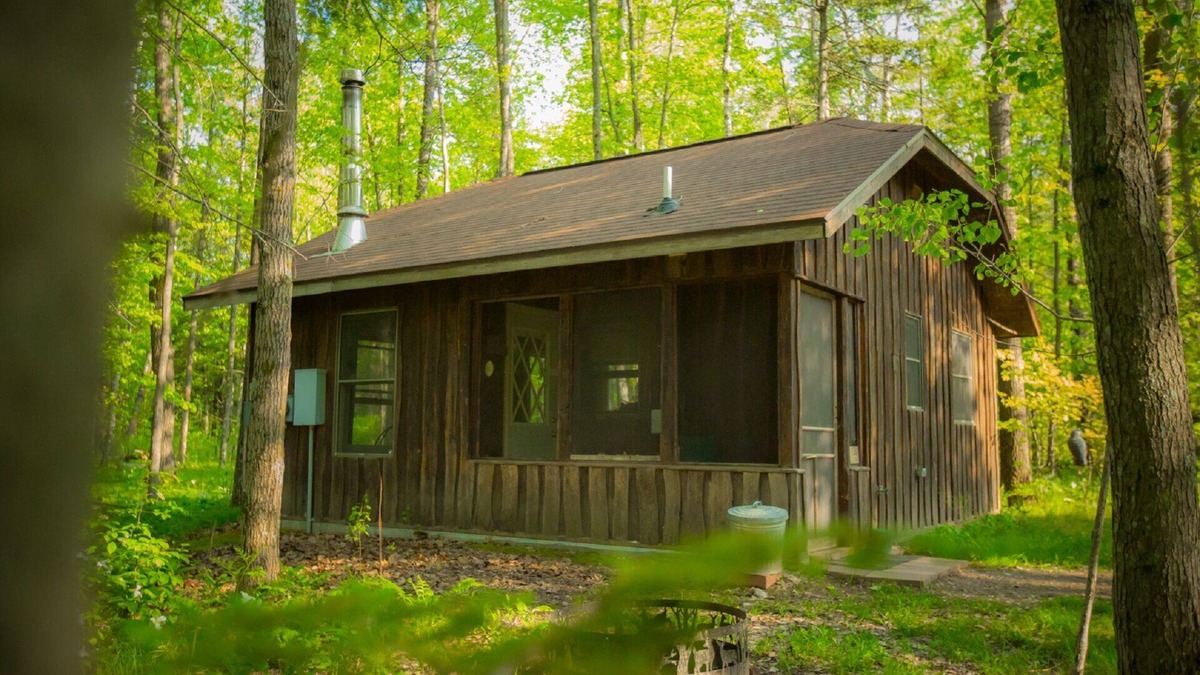 Finlayson Cabin | Located at the Heart of the Solana State Forest in Amongst the Forest Trees