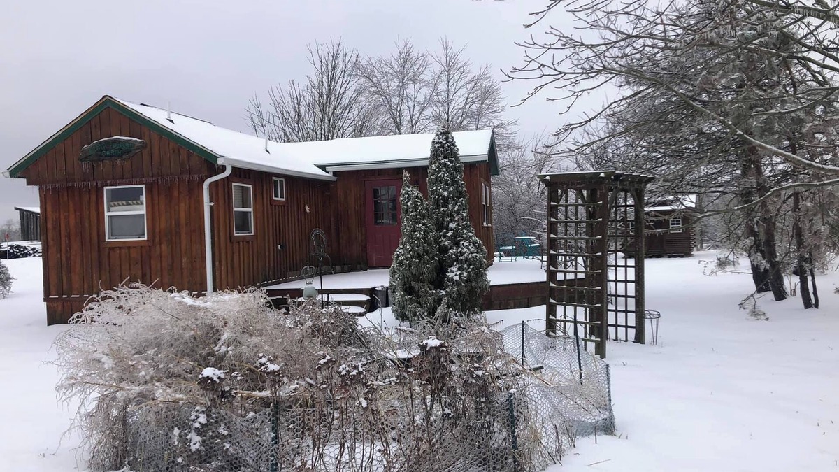 New Plymouth Cabin | Located behind a tree filled garden near our horse barn and Farm Sanctuary.