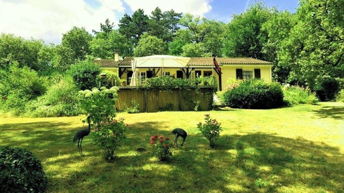 Baladou House | Located in a tranquil woodland setting.