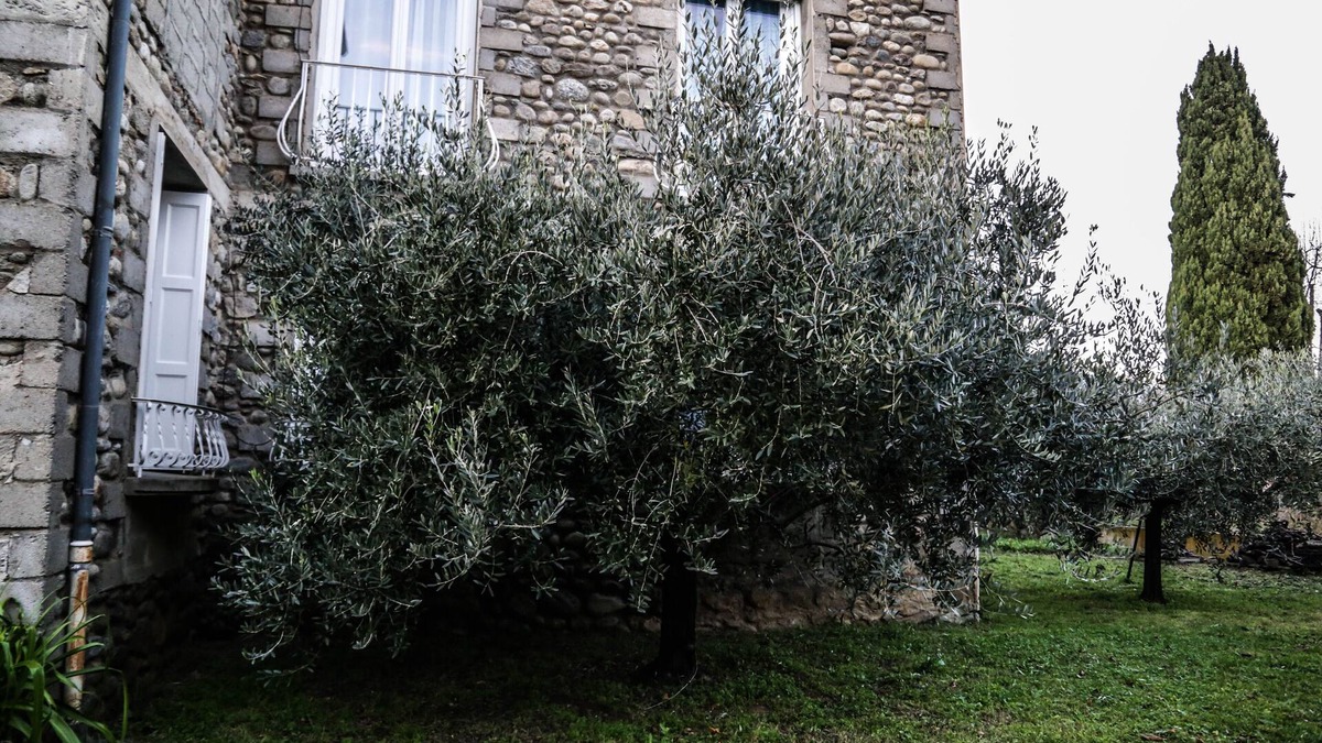 Prades Apartment | Location du Canigou, Gîte 6 people. Hiking, Heritage, Festivals, Cures.