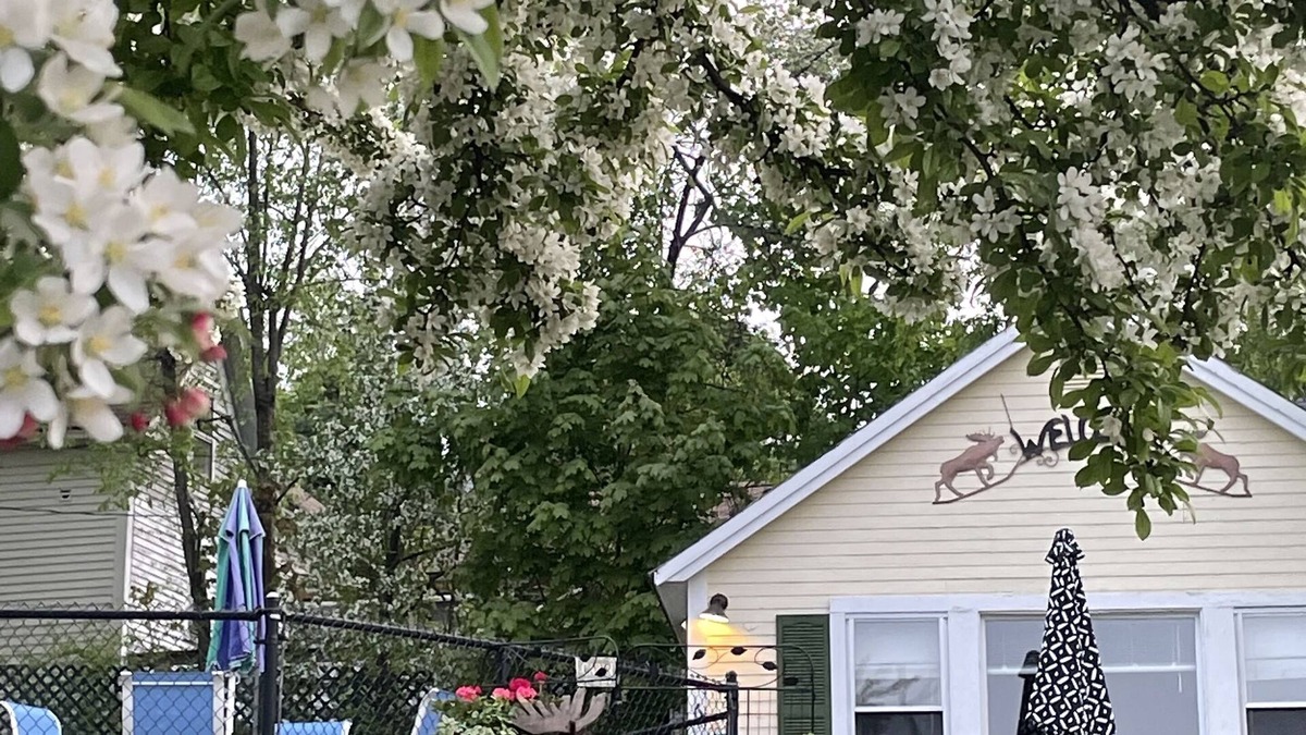 Weirs Beach Cabin | Location, Location, Location! Weirs Beach