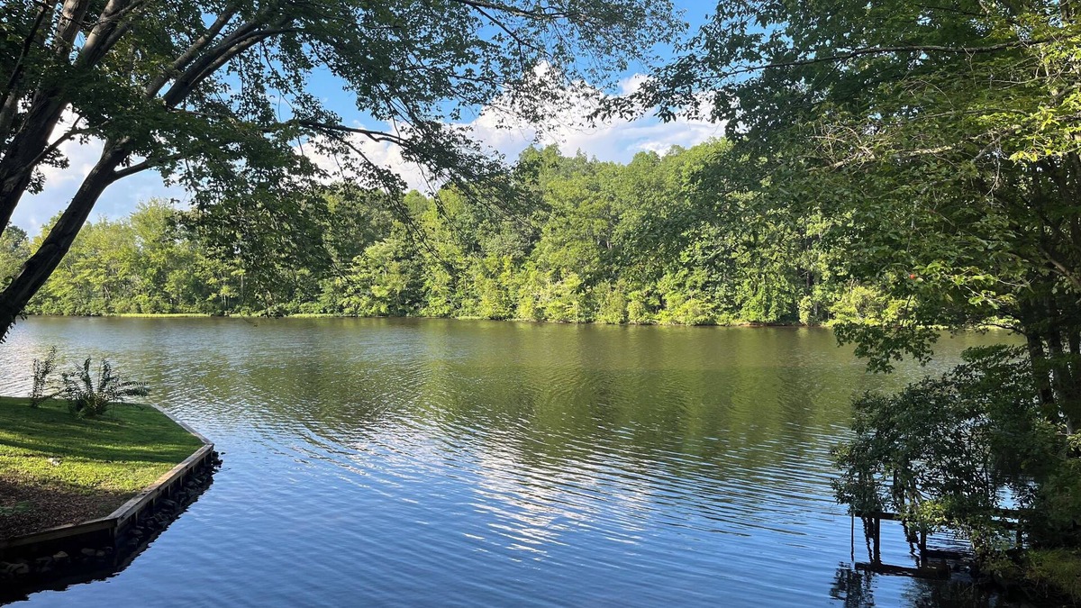 Bracey House | Location-Location-Location and Pet Friendly