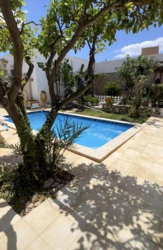 Bardo House | location Maison d hotes a Chott Meriem