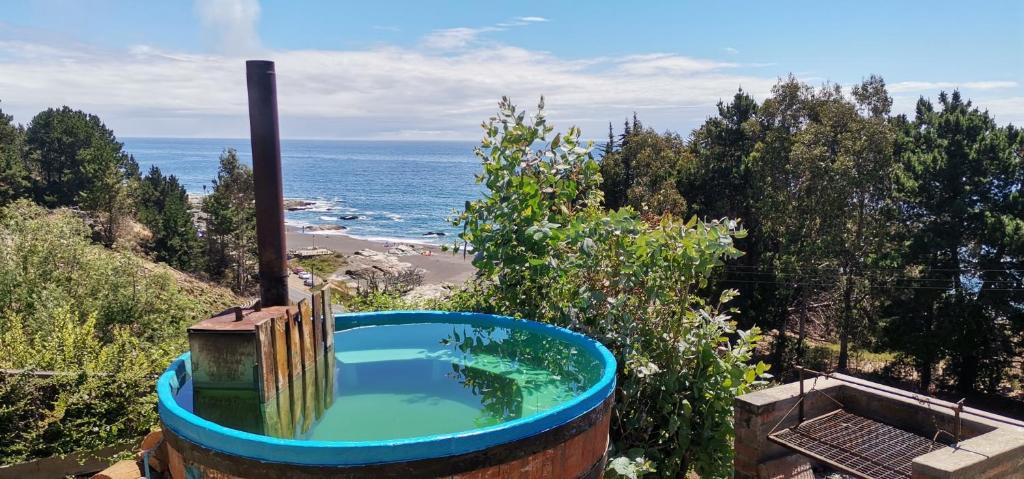 Curanipe House | lodge playas del sur