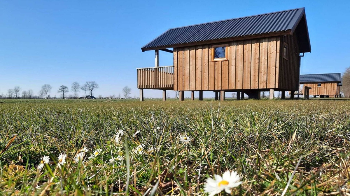 Ruinerwold House | Lodges in Drenthe with Scenic Meadow Views