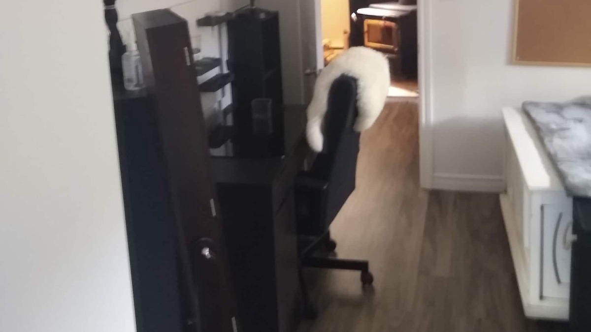 La Malbaie Apartment | Loft Avec Piscine Extérieure