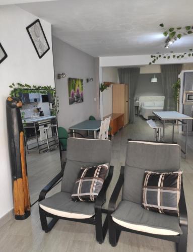 Talavera de la Reina Apartment | Loft CENTRO Con Parking privado GRATIS
