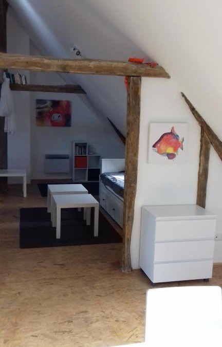 Malicorne-sur-Sarthe Apartment | Loft