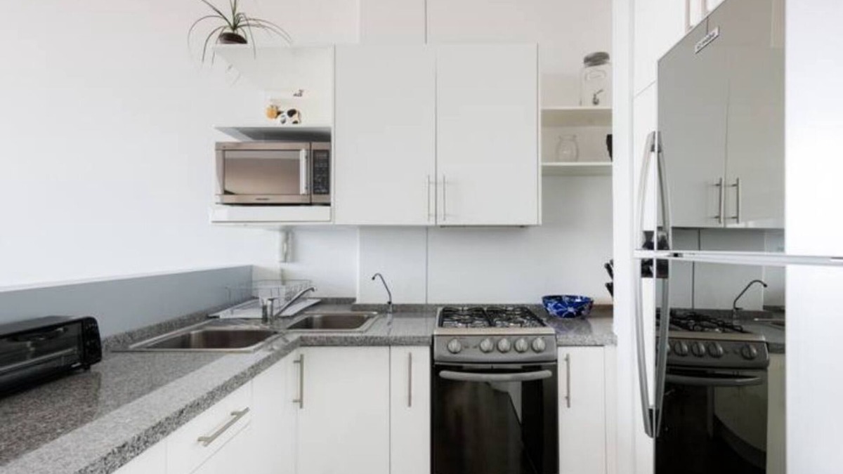 Escandon Condo | Loft in fifth floor with great views to green and the city and a roof garden too