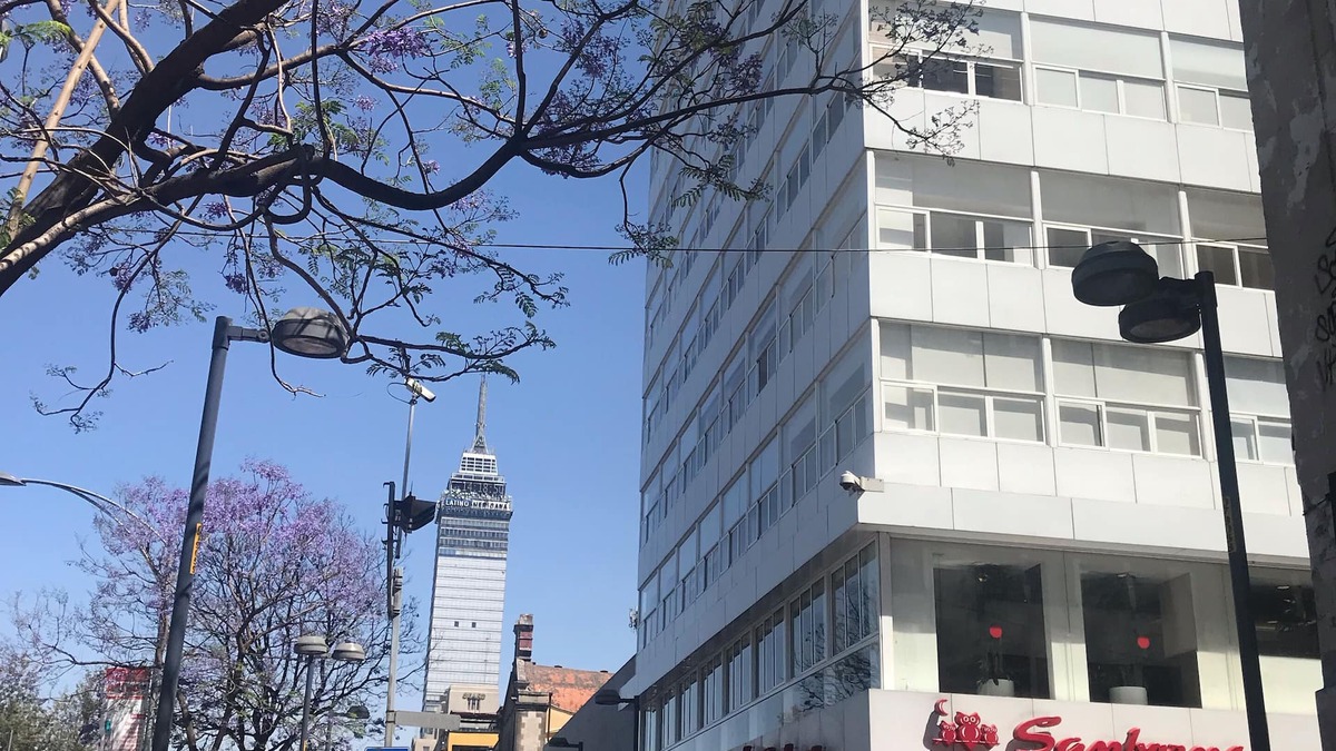 Colonia Centro Apartment | LOFT MIRADOR/ALAMEDA CENTRAL/CDMX