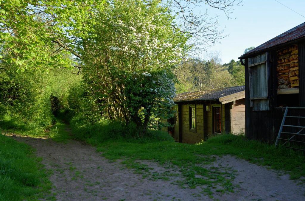 Trecastle Ski Chalet | Log Cabin