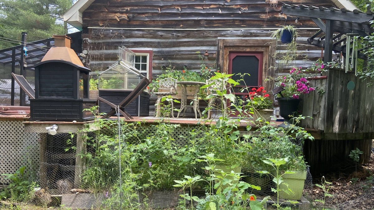 Mountain Grove Cabin | Log Cabin Getaway for Nature Lovers. An escape from the city with animal friends