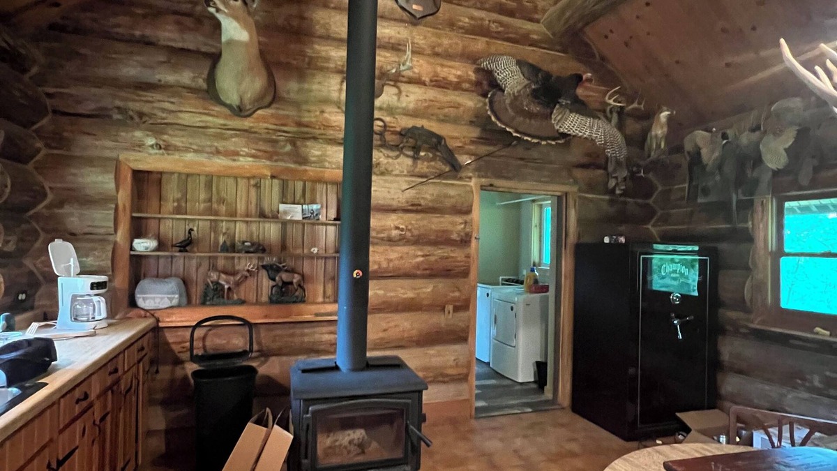 Alma Cabin | Log cabin, log cabin sauna building, wildlife, orchards