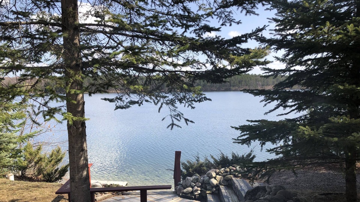 Cheboygan Cabin | Log Cabin on Long Lake