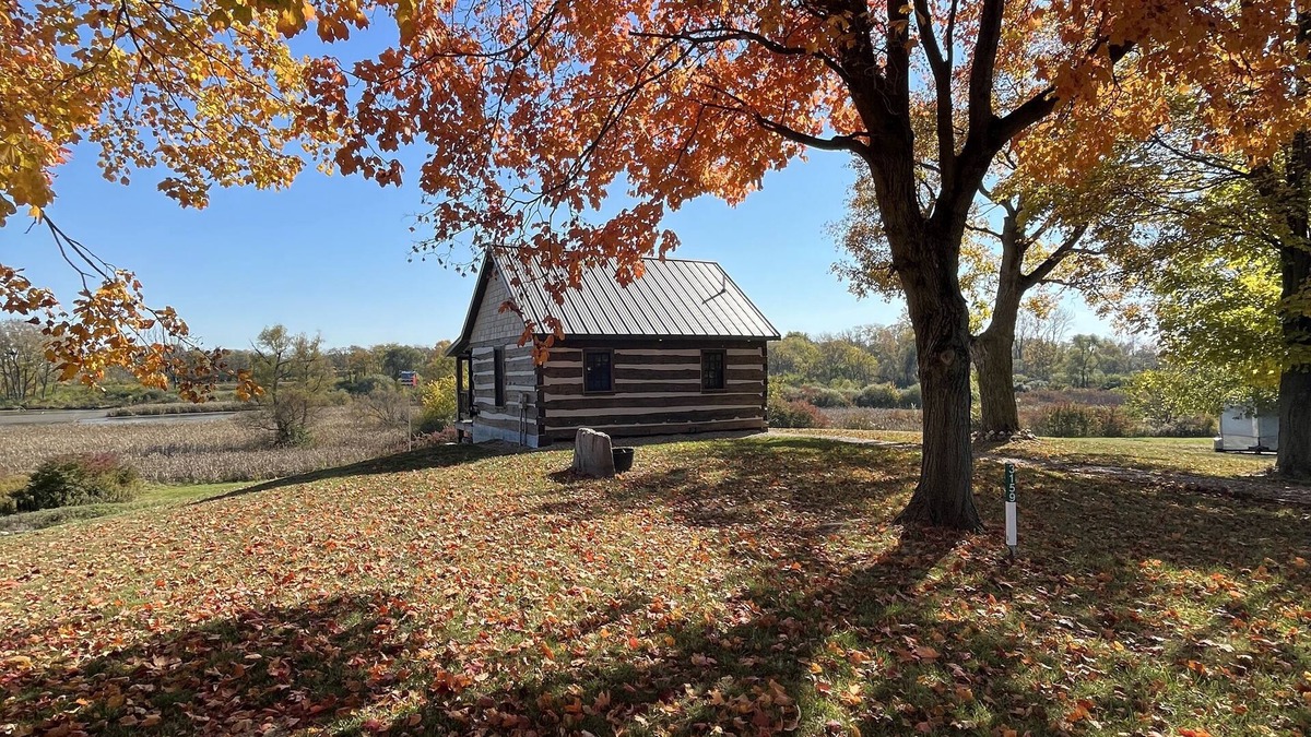 London Cabin | Log Cabin overlooking wetland reserve