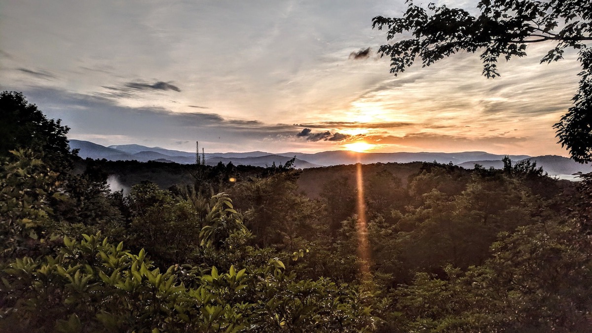 Hays Cabin | Log cabin with amazing views! (Pets welcome!)