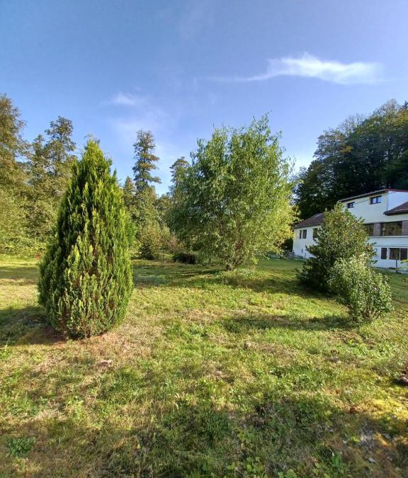 Moussey House | Logement dans un cadre apaisant à Moussey dans les Vosges