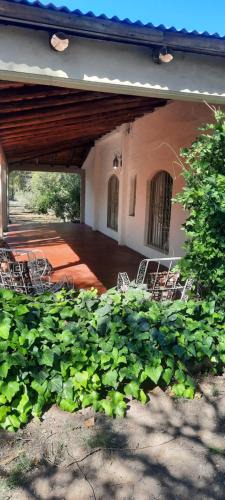 Pedro Vargas House | Loma Bonita