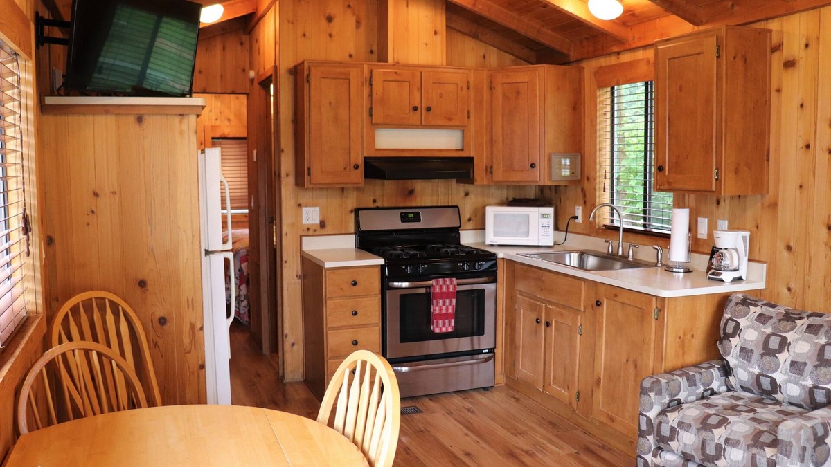 Cougar Other | Lone Fir Resort