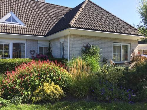 Nieuw-Haamstede Apartment | Lonestar Appartement