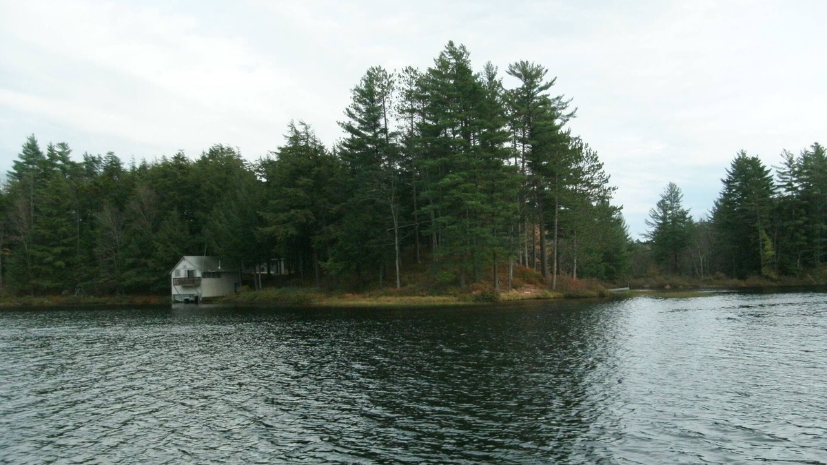 Croghan Cabin | LONG POND CABIN SURROUNDED BY WATER w/Great Sandy Beach