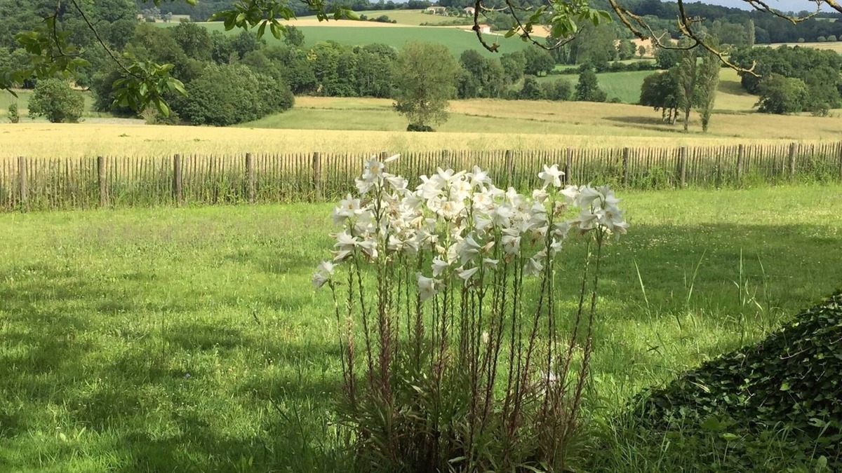 Lusignac House | Looking for a cosy cottage in the peaceful Dordogne/Charente area? You found it.